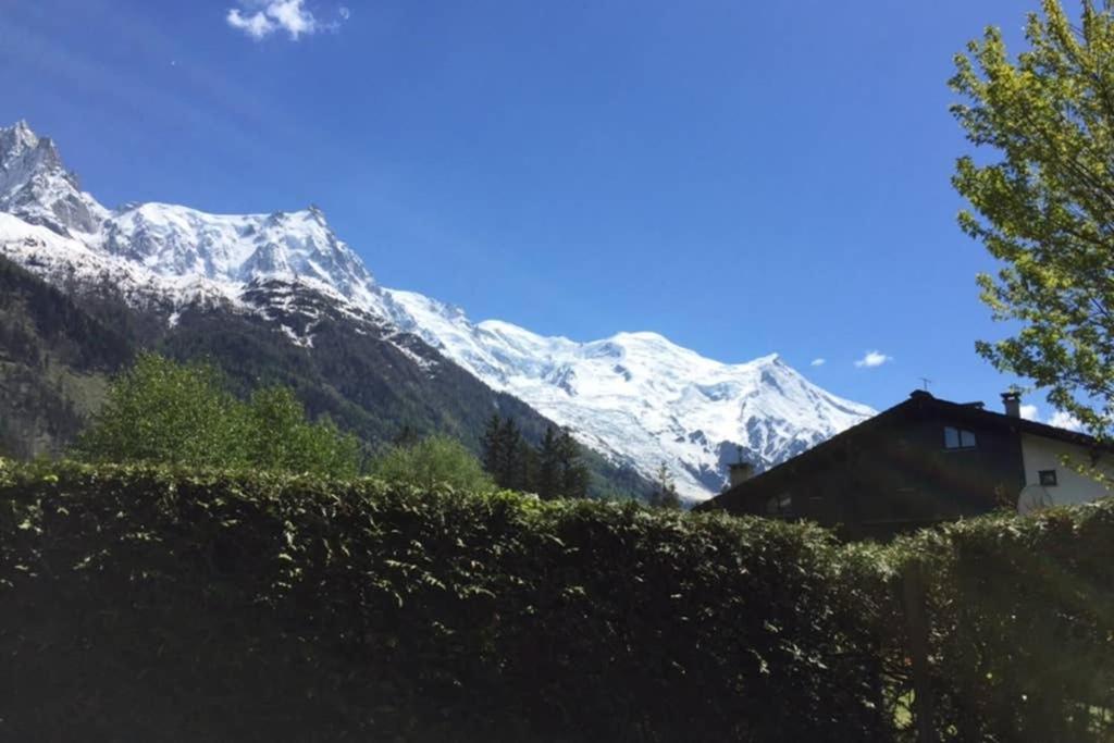 Studio Au Calme Avec Jardin Et Vue Mont-Blanc Chamonix Mont Blanc Exterior foto